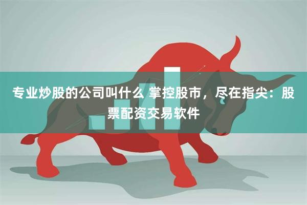 专业炒股的公司叫什么 掌控股市，尽在指尖：股票配资交易软件