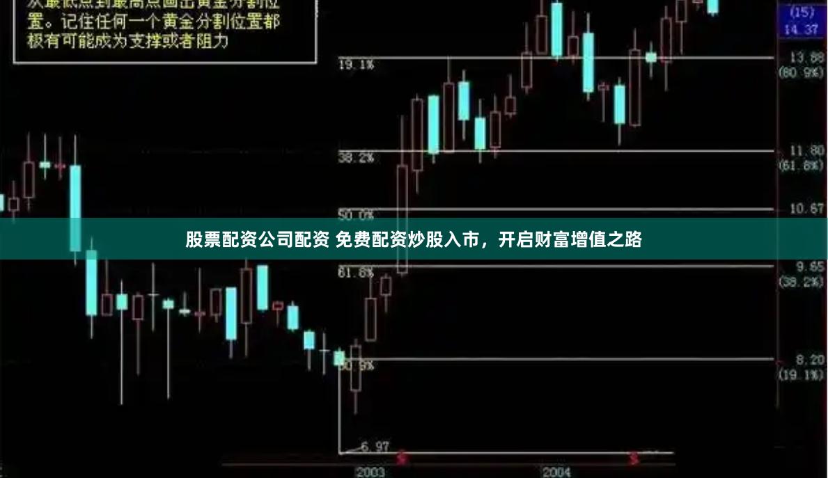 股票配资公司配资 免费配资炒股入市，开启财富增值之路