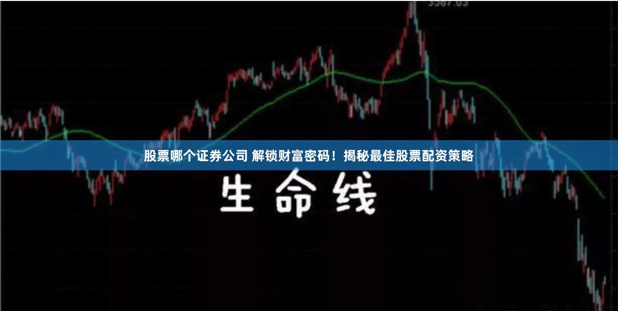 股票哪个证券公司 解锁财富密码！揭秘最佳股票配资策略